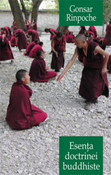 esenta-doctrinei-buddhiste