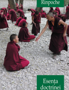 Esenta doctrinei buddhiste